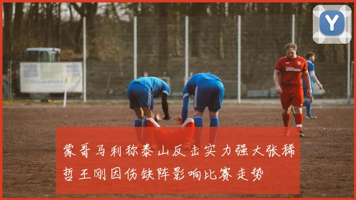 蒙哥马利称泰山反击实力强大张稀哲王刚因伤缺阵影响比赛走势