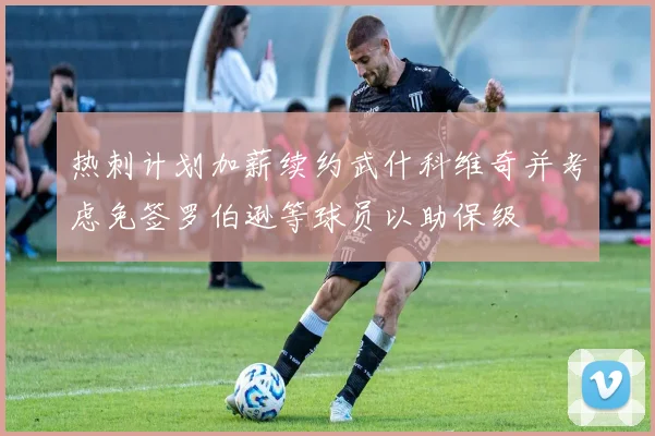 热刺计划加薪续约武什科维奇并考虑免签罗伯逊等球员以助保级